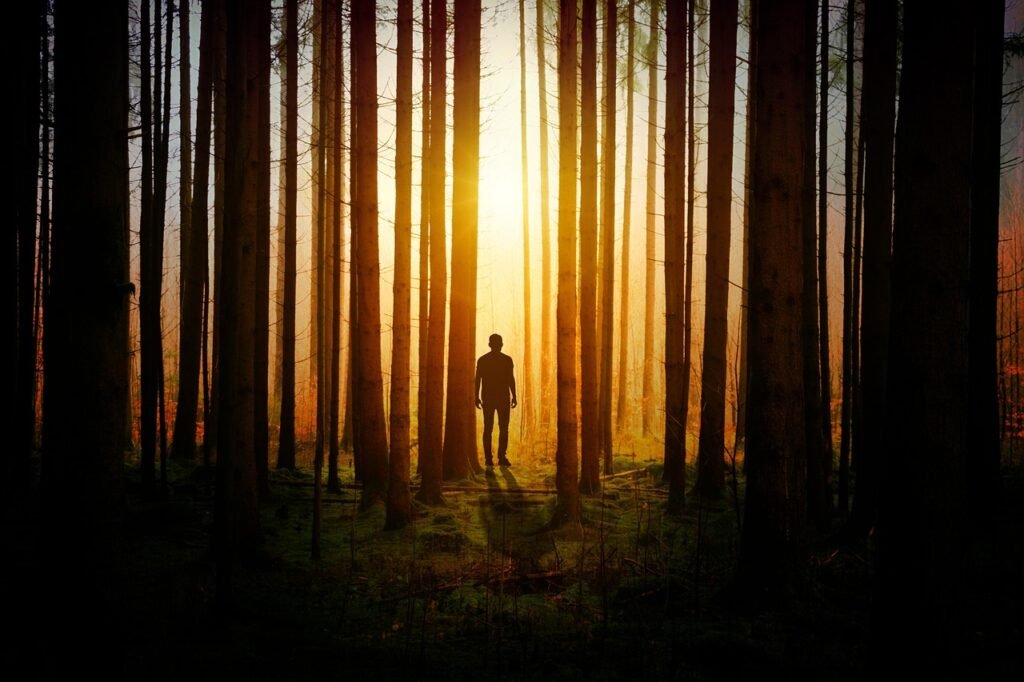 man, forest, sunlight-3151723.jpg